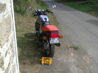 image.jpeg