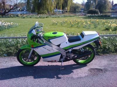 IMAG_0481.jpg